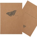 Notatnik, zeszyt Clairefontaine Flying Spirit Kraft 14,8x21cm - linie