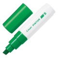 Pilot-Pintor-marker-8mm-B-light-green.jpg