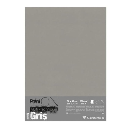 Papier Clairefontaine Paint ON Multi- Techniques 250g, 50x65 - gris.jpg
