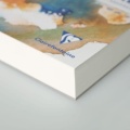 aquapad clairefontaine.jpg