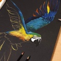 Clairefontaine Paint On NOIR Multi -Techniques.jpg